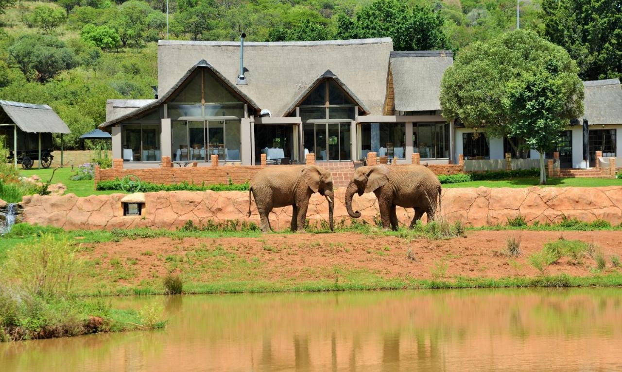 African Hills Safari Lodge & Spa 마갈리스버그 외부 사진