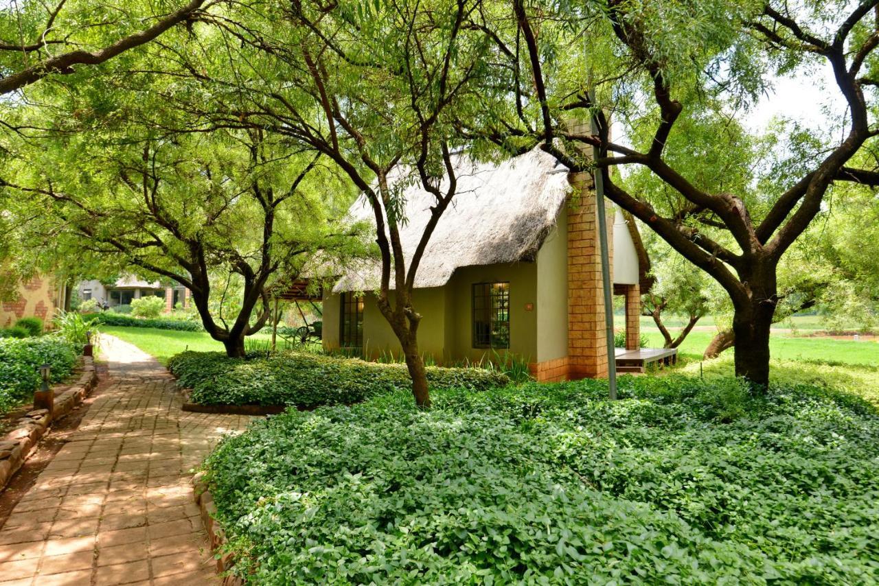 African Hills Safari Lodge & Spa 마갈리스버그 외부 사진