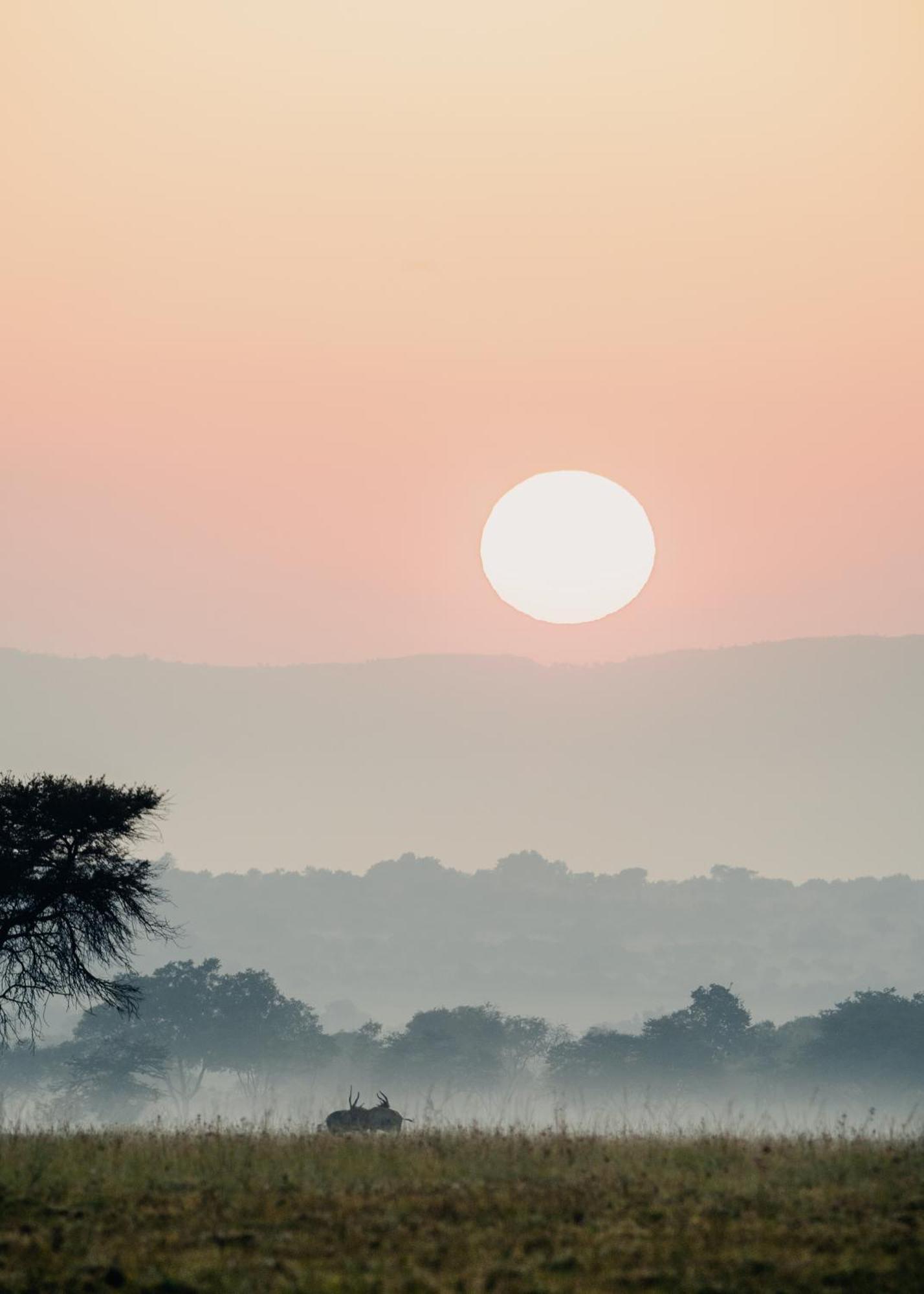African Hills Safari Lodge & Spa 마갈리스버그 외부 사진