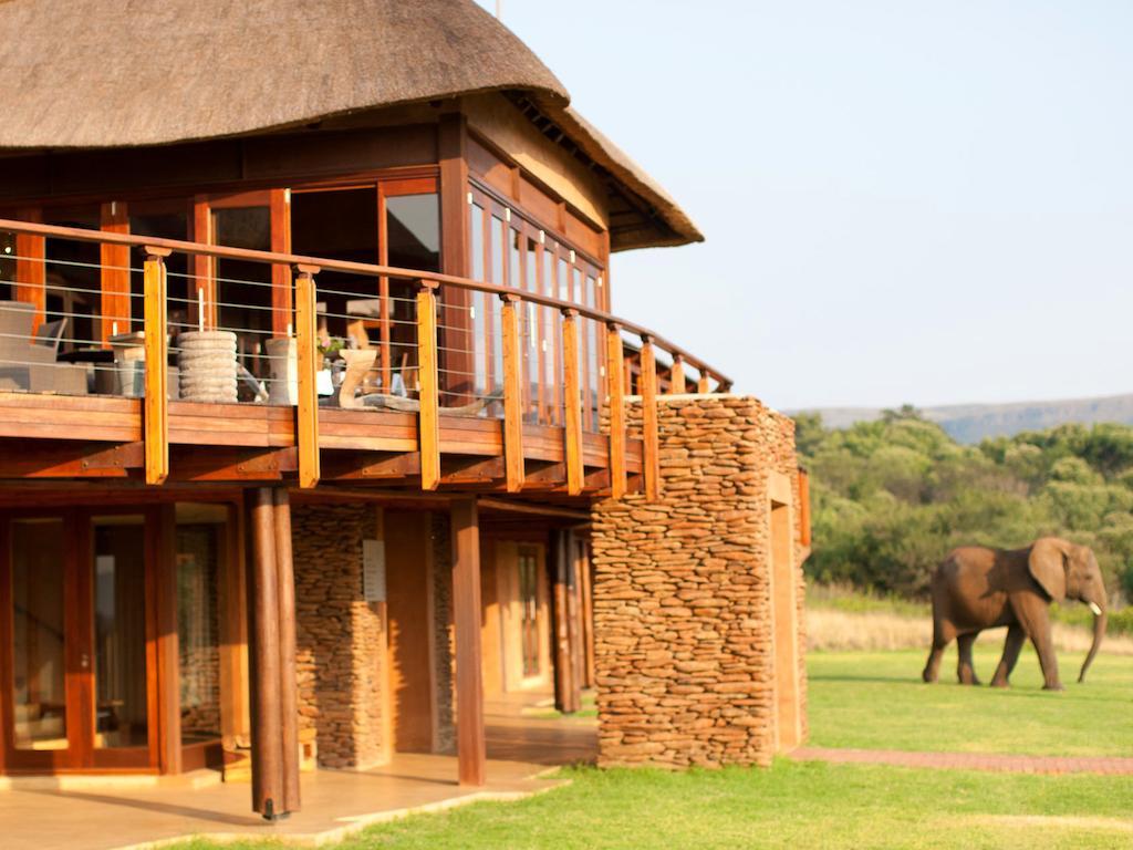 African Hills Safari Lodge & Spa 마갈리스버그 외부 사진